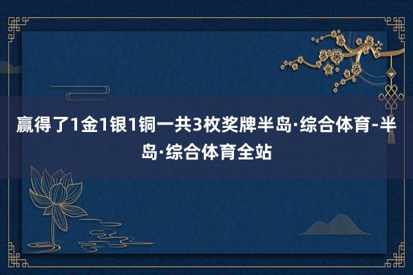 赢得了1金1银1铜一共3枚奖牌半岛·综合体育-半岛·综合体育全站