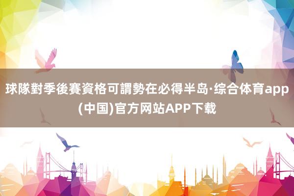 球隊對季後賽資格可謂勢在必得半岛·综合体育app(中国)官方网站APP下载