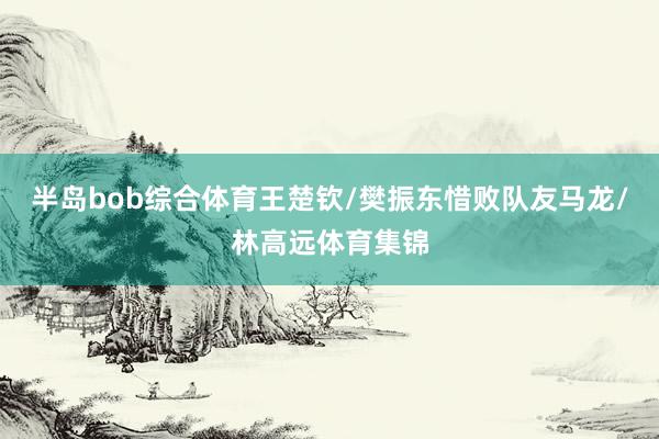 半岛bob综合体育王楚钦/樊振东惜败队友马龙/林高远体育集锦