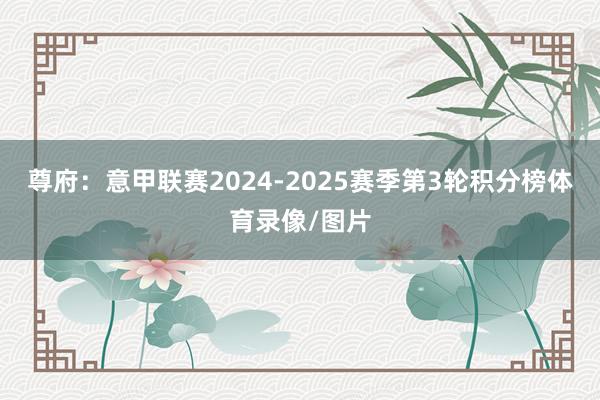 尊府：意甲联赛2024-2025赛季第3轮积分榜体育录像/图片