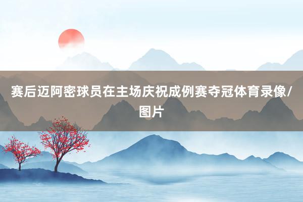 赛后迈阿密球员在主场庆祝成例赛夺冠体育录像/图片