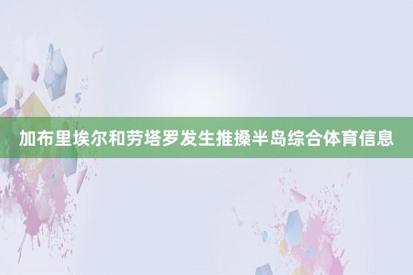 加布里埃尔和劳塔罗发生推搡半岛综合体育信息