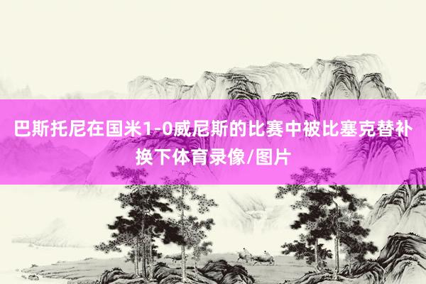 巴斯托尼在国米1-0威尼斯的比赛中被比塞克替补换下体育录像/图片