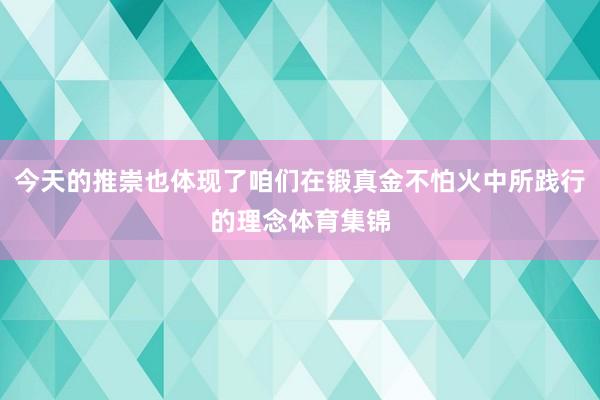 今天的推崇也体现了咱们在锻真金不怕火中所践行的理念体育集锦