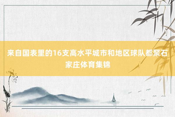 来自国表里的16支高水平城市和地区球队都聚石家庄体育集锦