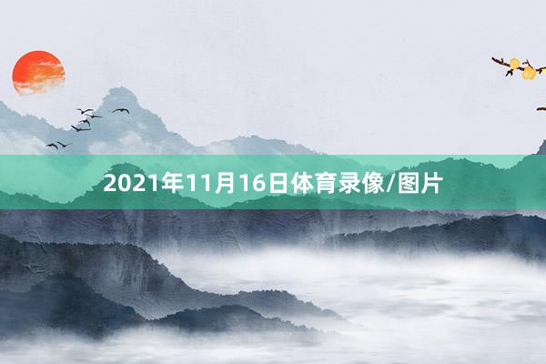 2021年11月16日体育录像/图片