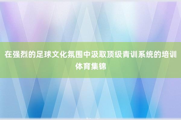 在强烈的足球文化氛围中汲取顶级青训系统的培训体育集锦