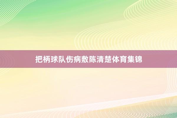 把柄球队伤病敷陈清楚体育集锦