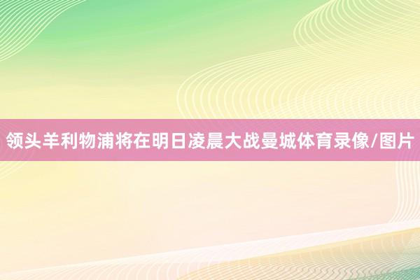 领头羊利物浦将在明日凌晨大战曼城体育录像/图片