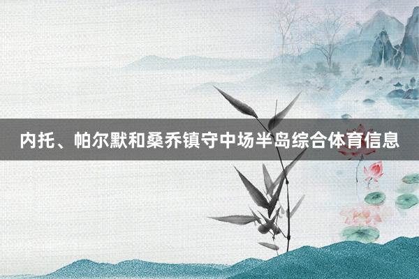 内托、帕尔默和桑乔镇守中场半岛综合体育信息