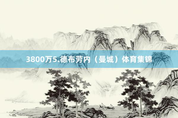 3800万5.德布劳内（曼城）体育集锦