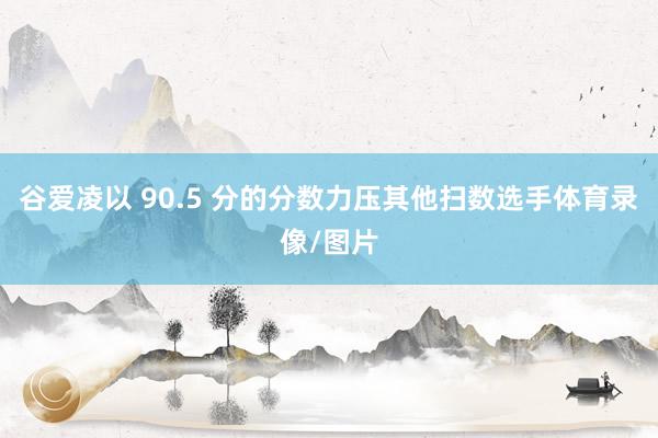 谷爱凌以 90.5 分的分数力压其他扫数选手体育录像/图片