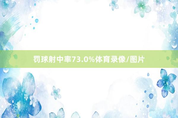 罚球射中率73.0%体育录像/图片