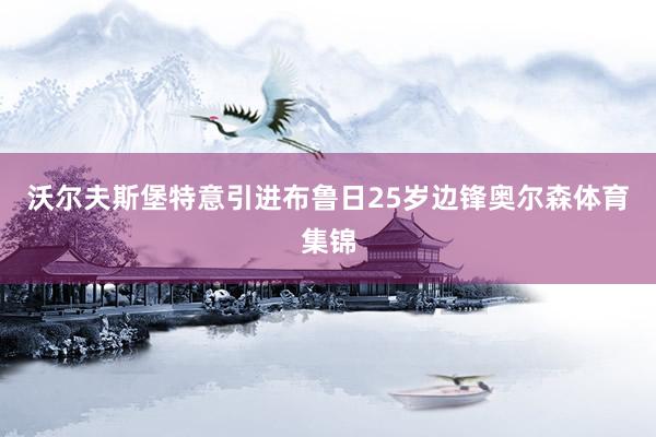 沃尔夫斯堡特意引进布鲁日25岁边锋奥尔森体育集锦