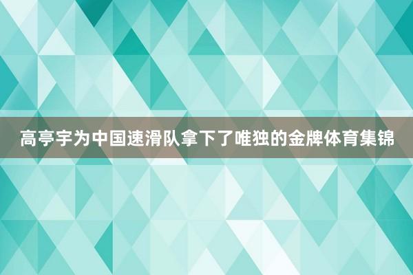 高亭宇为中国速滑队拿下了唯独的金牌体育集锦