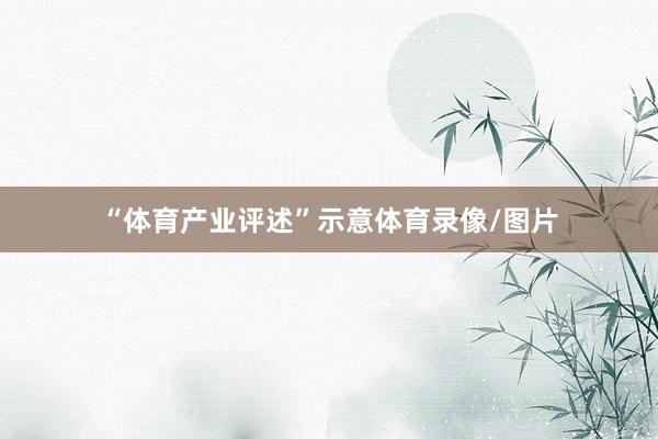 “体育产业评述”示意体育录像/图片
